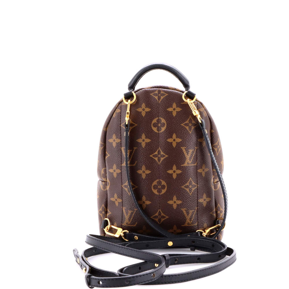 Louis Vuitton Palm Springs Backpack #211138L22B - Picture 3 of 9